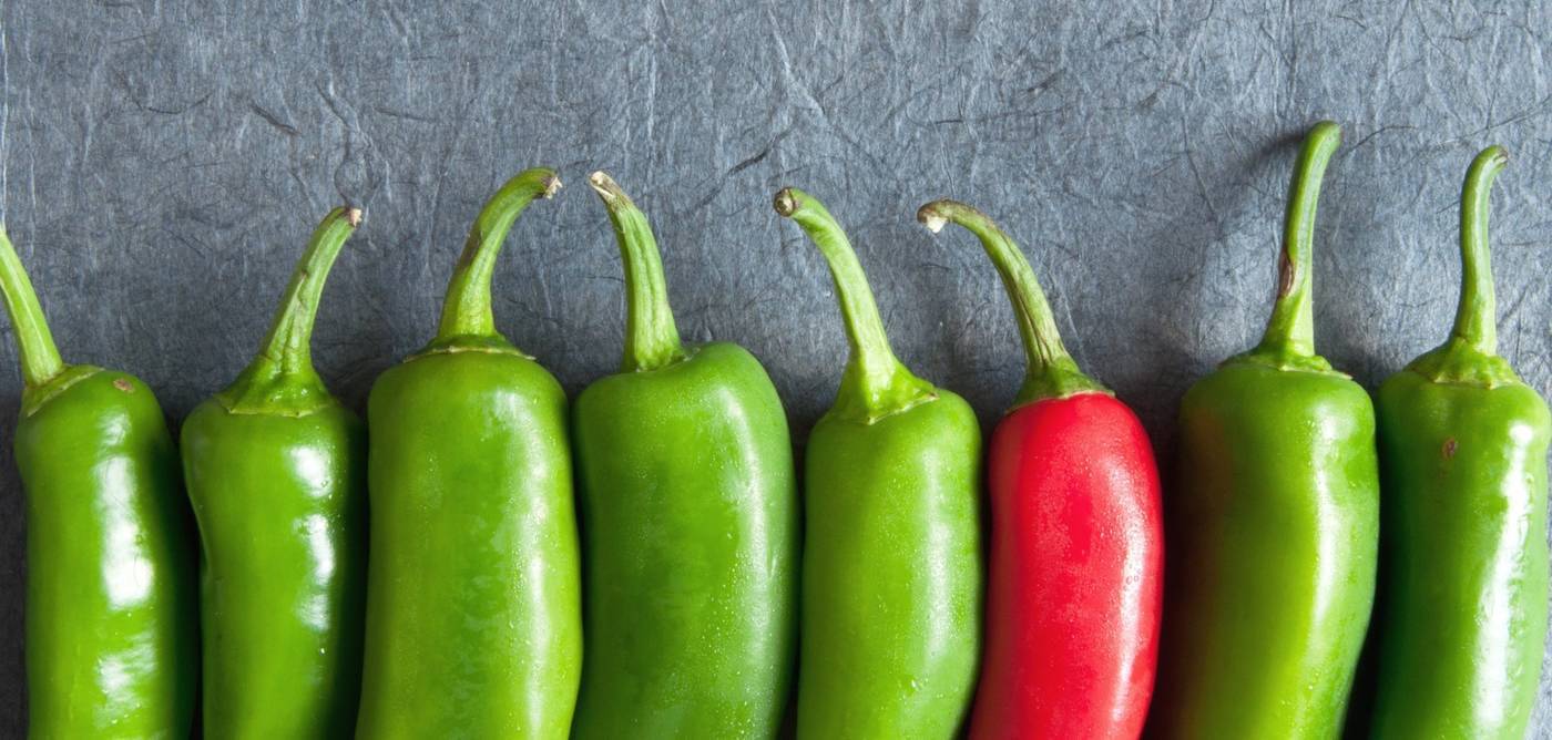 Brand packaging: 5 manieren hoe verpakking het onderscheidend vermogen van je merk kan vergroten