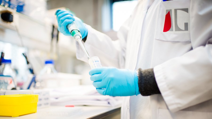 Buitenlandse investeringen en jobs bereiken recordniveau in Vlaanderen