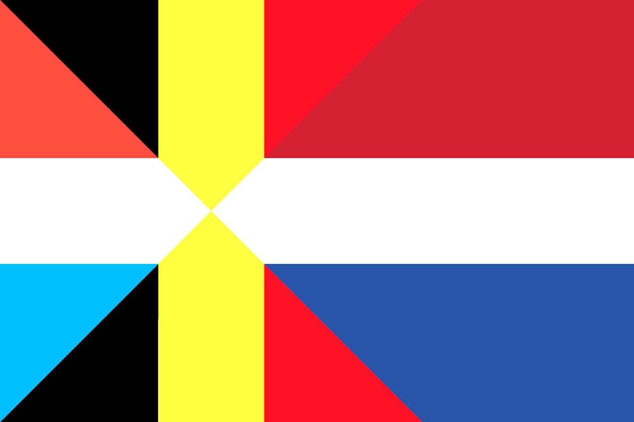 Hoe matuur is de e-commerce sector in België, Nederland en Luxemburg? Een onderzoek: