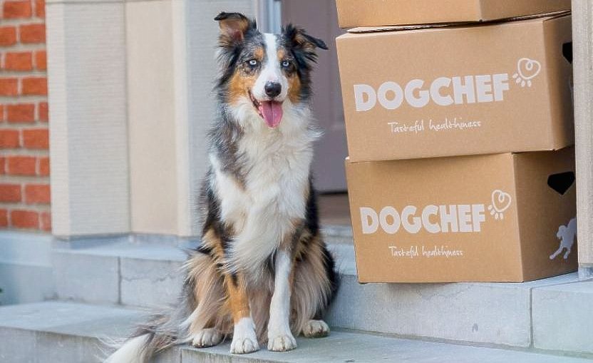 Leuvense ‘hondentraiteur’ haalt 12,5 miljoen euro vers kapitaal op