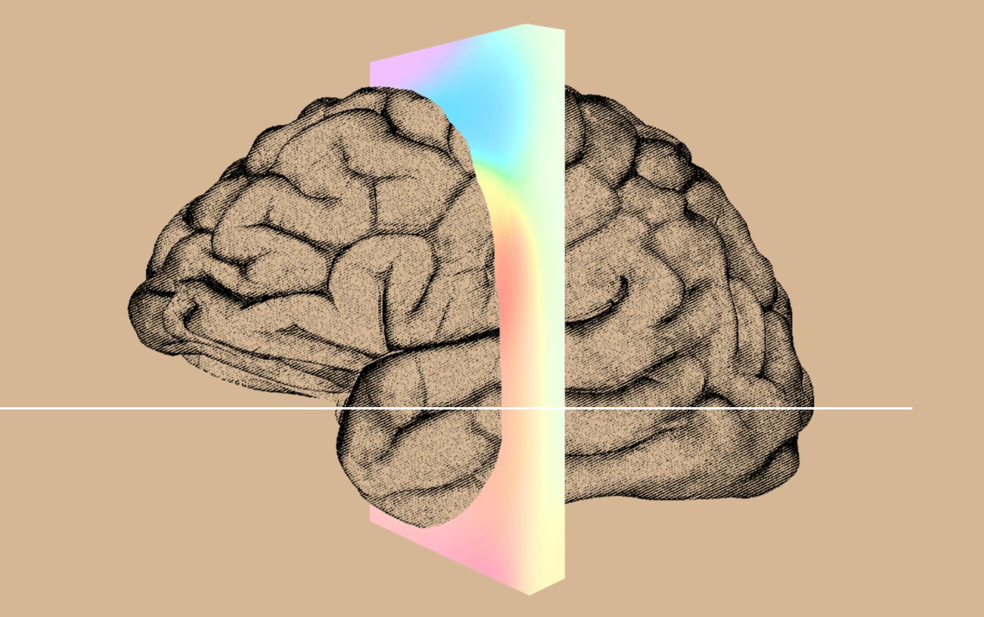 Neurologische start-up van Elon Musk haalt 205 miljoen dollar op