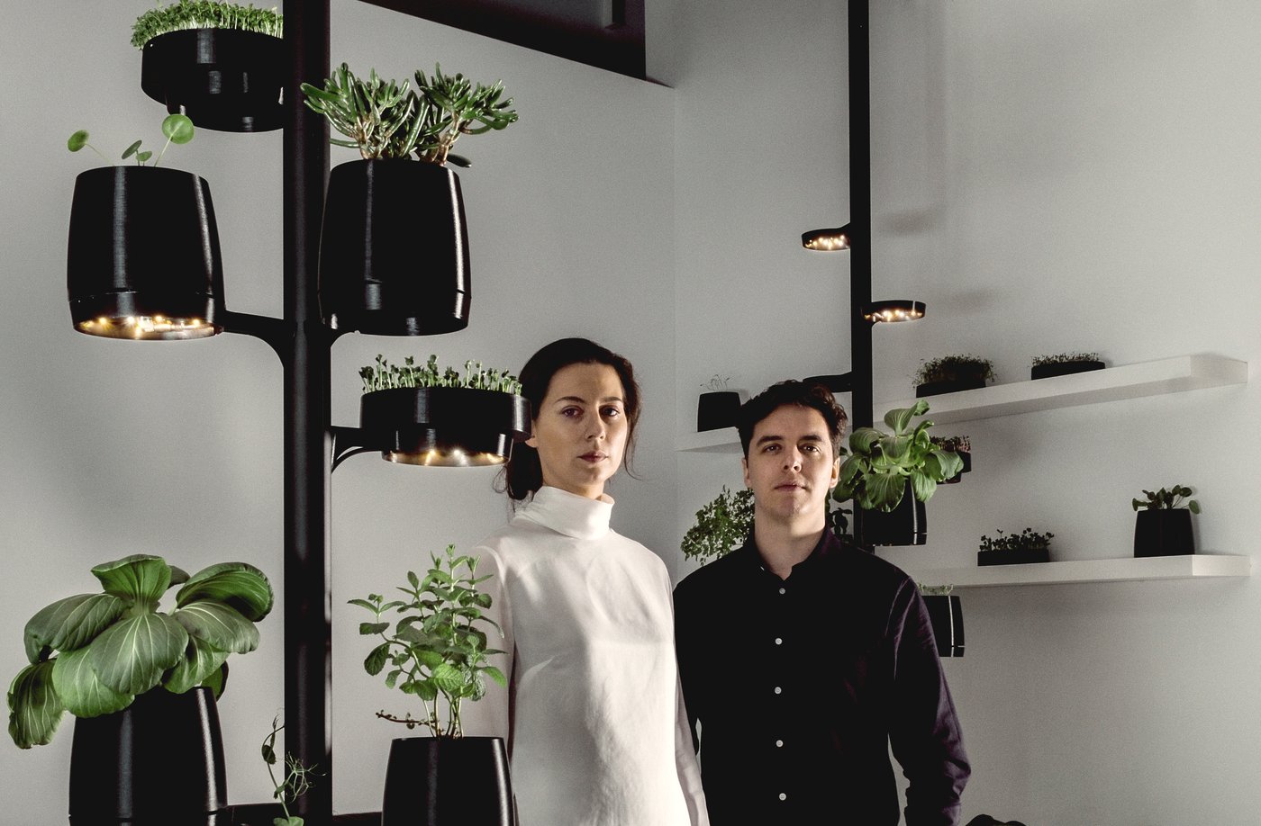 Oost-Vlaams bedrijf maakt binnenhuis kweken van salades mogelijk