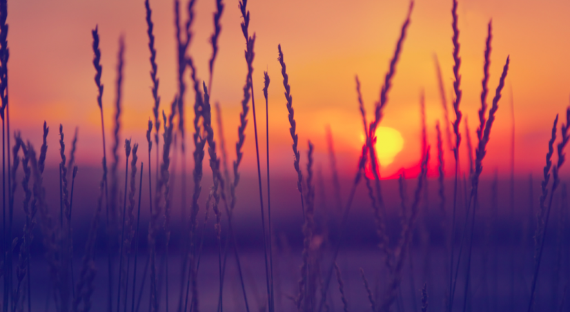 "Het wordt een pittig jaar voor HR-managers"