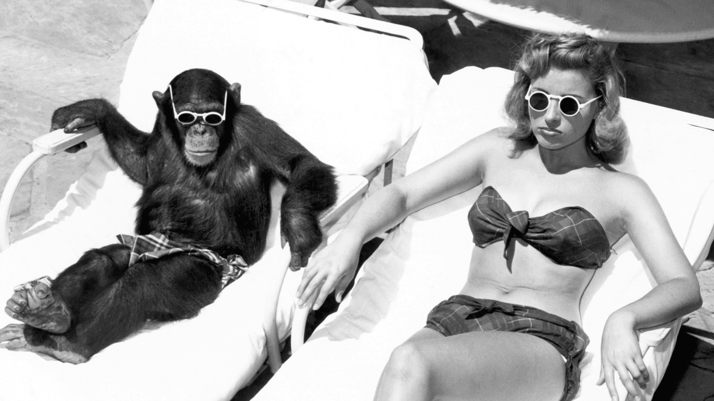 Relevanter worden voor je huidige én toekomstige klanten? Daarom is predictive marketing the next big thing: