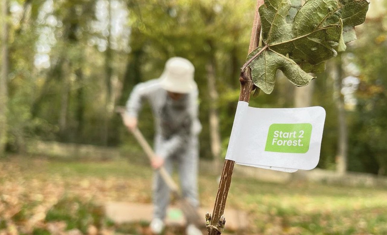Start2Forest biedt pakketten aan om je eigen minibos in de tuin aan te planten