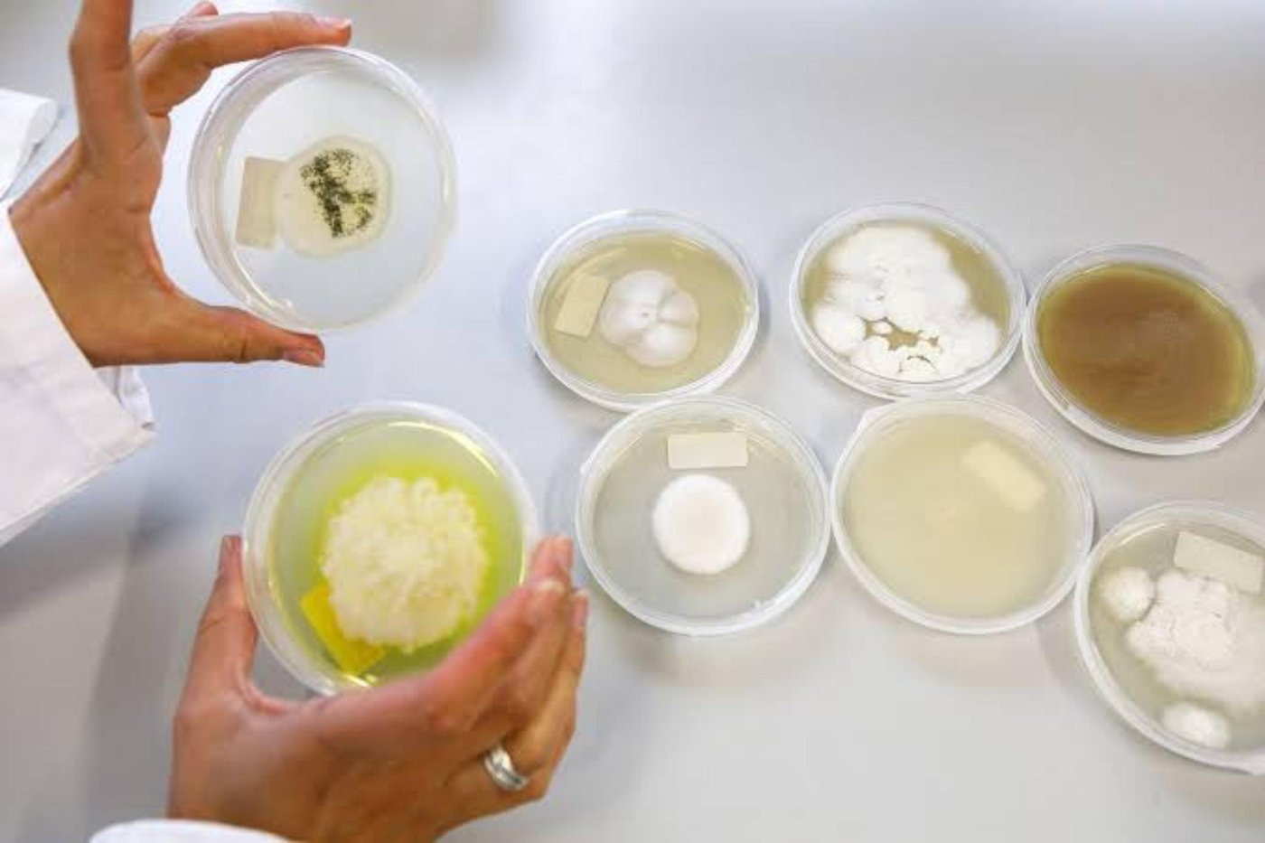 Vlaamse startup Zymofix groeit uit in Europa, mede door de steun van Enterprise Europe Network Vlaanderen