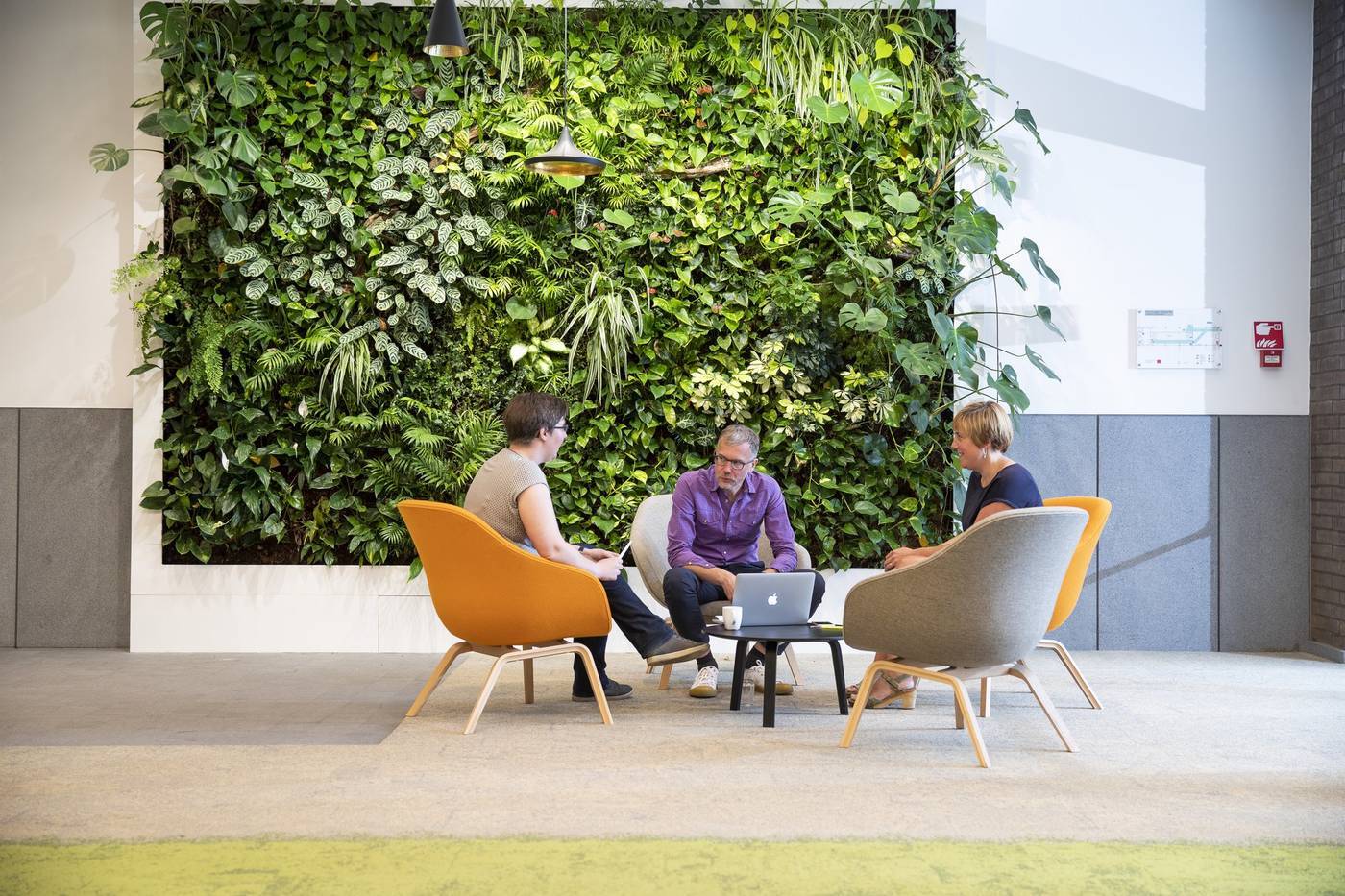 Waarom freelancers voor schwung zorgen in bedrijven: “Ze dagen de status quo uit en schudden ingedommelde collega’s opnieuw wakker”