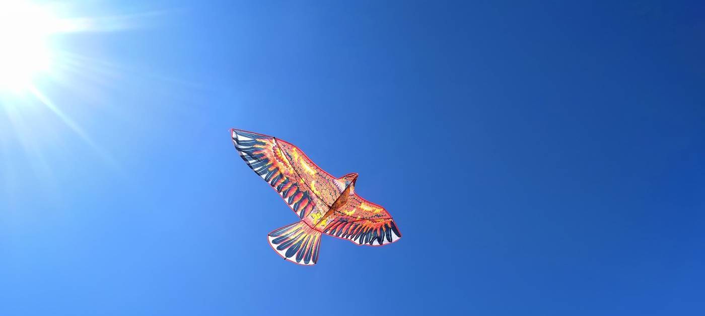 Waarom starters in het begin van hun loopbaan best begeleid worden door ervaren collega’s met een ‘groentjes-mentaliteit’