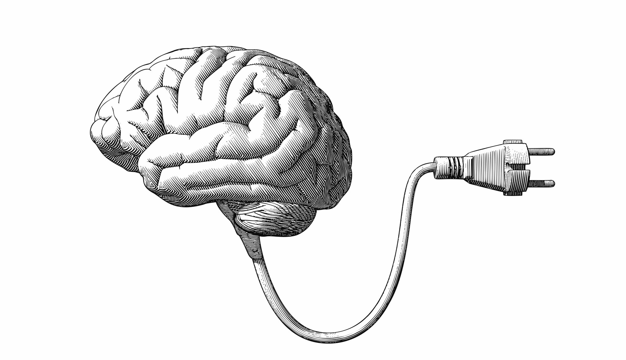 Waarom veerkracht zowel voor bedrijven als werknemers cruciaal is om te overleven en te kunnen groeien