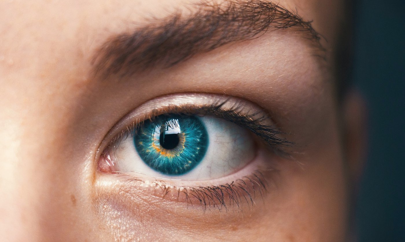 Zijn we klaar om ons lot in handen te leggen van ‘denkende’ machines?